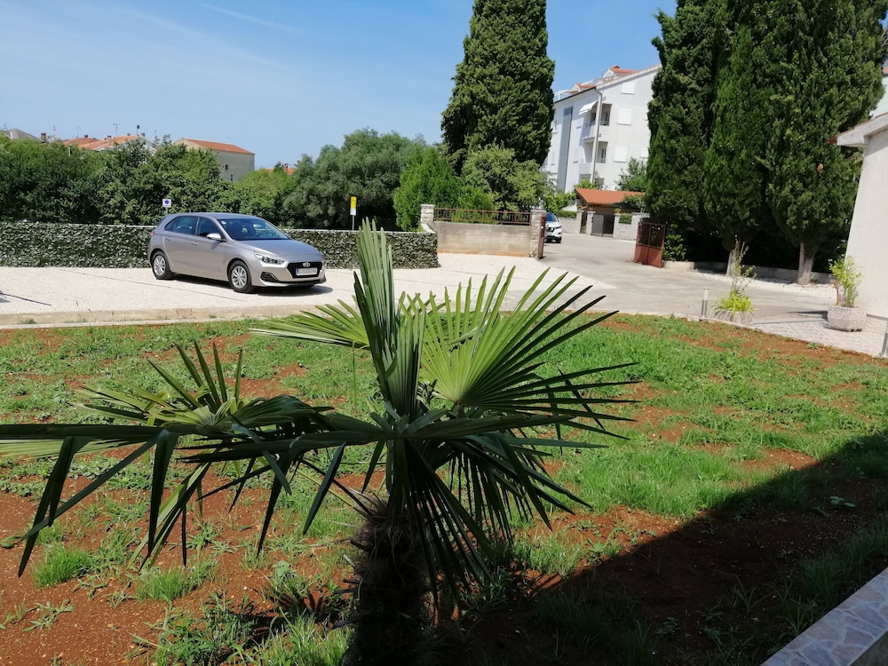 Photo 41