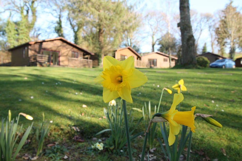 Bodmin Vacations - Ruthern Valley Holidays - Property Image 9