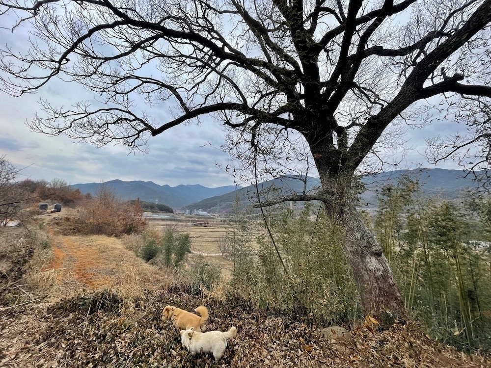 Jukrokjungsa hanokstay