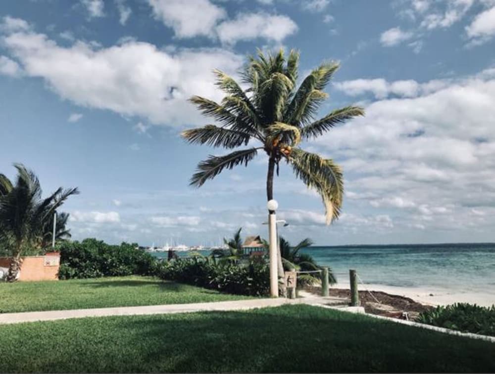 Flamingo Beach Plus