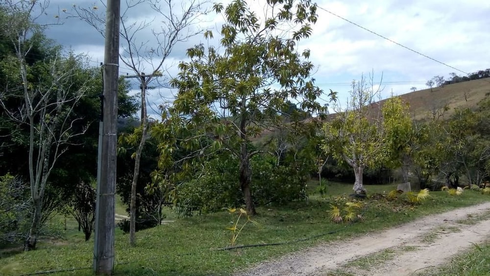 Photo 42