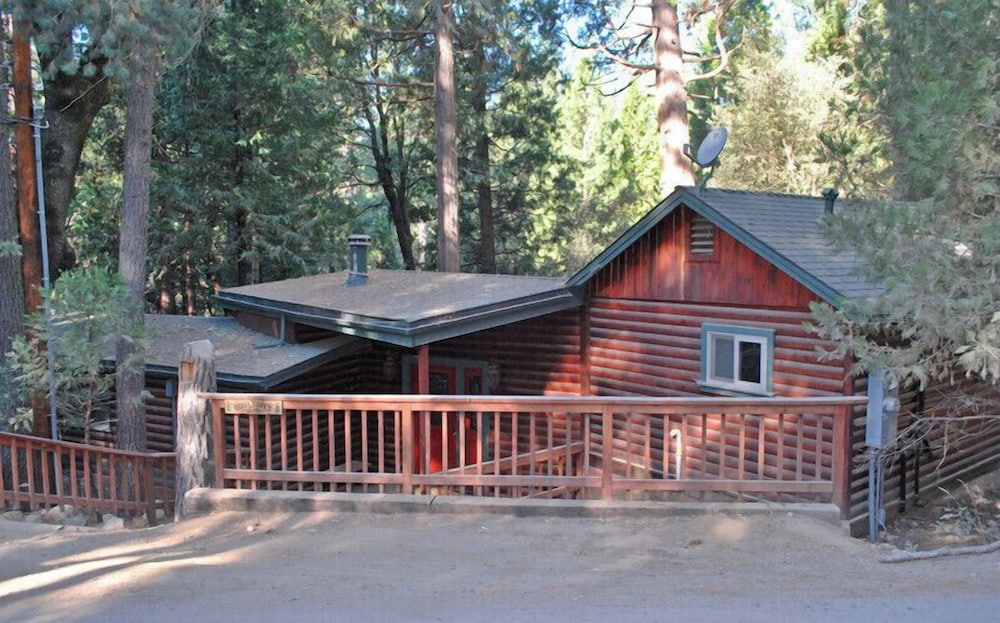 The Tree House