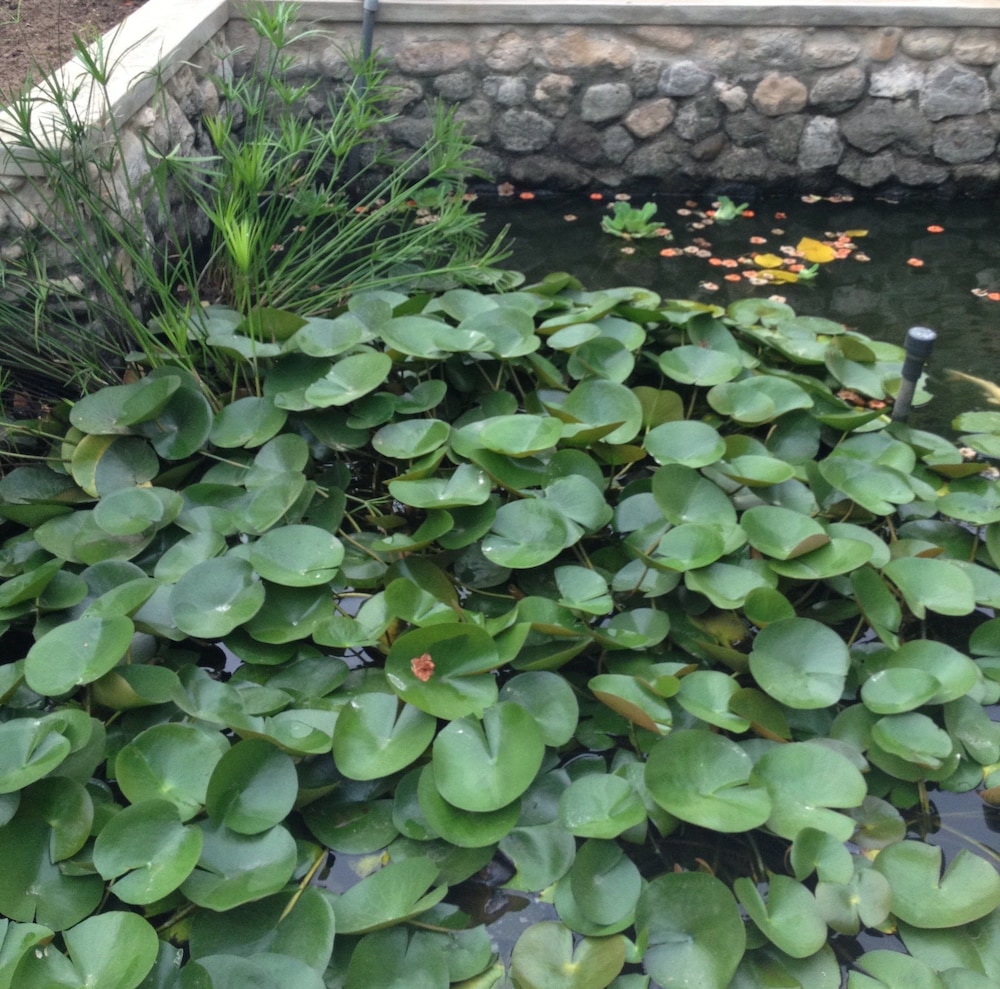 Garden Roomz Oman