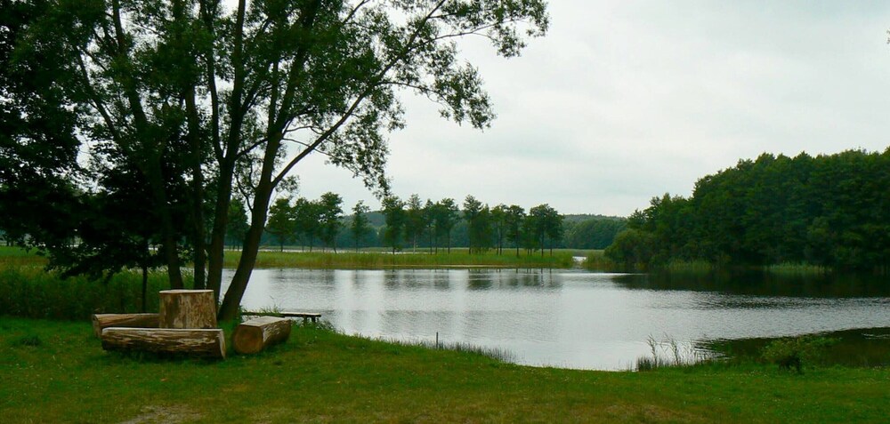 Single-storey Homes by the Lake, Jelen