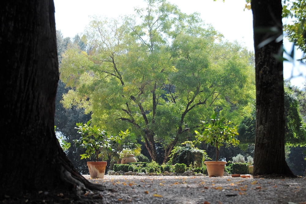 Country House Villa Poggiolo
