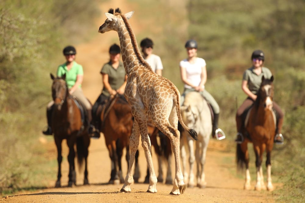 Pakamisa Private Game Reserve