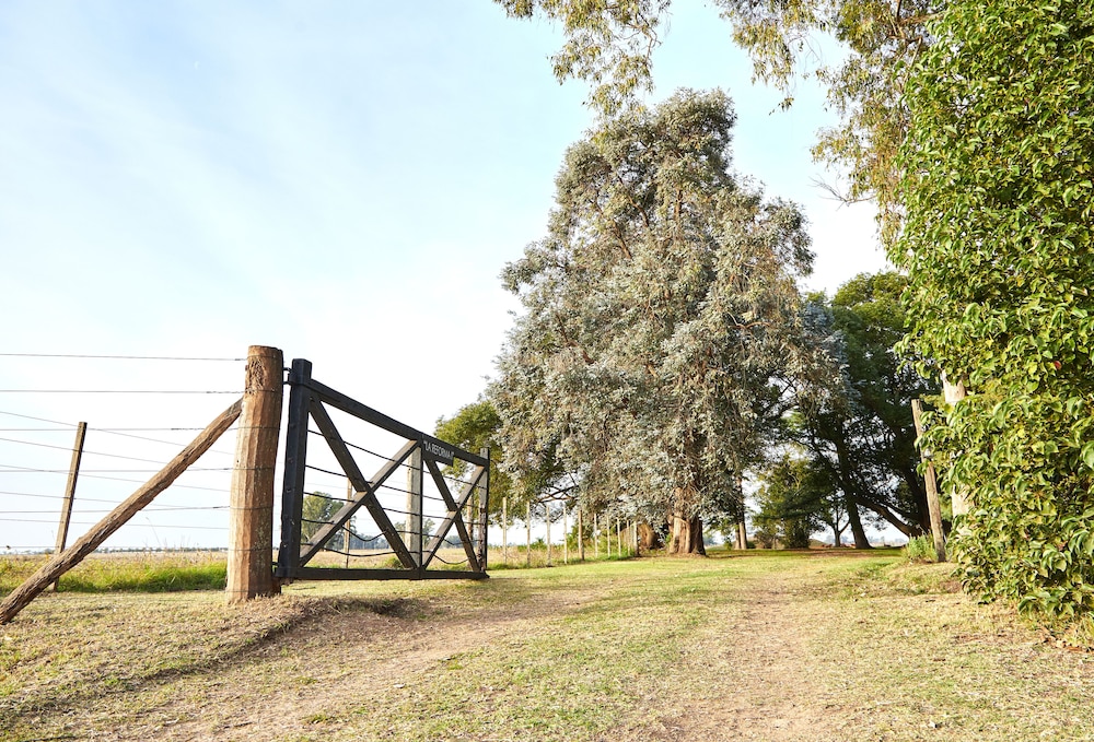 Hestia at San Antonio de Areco