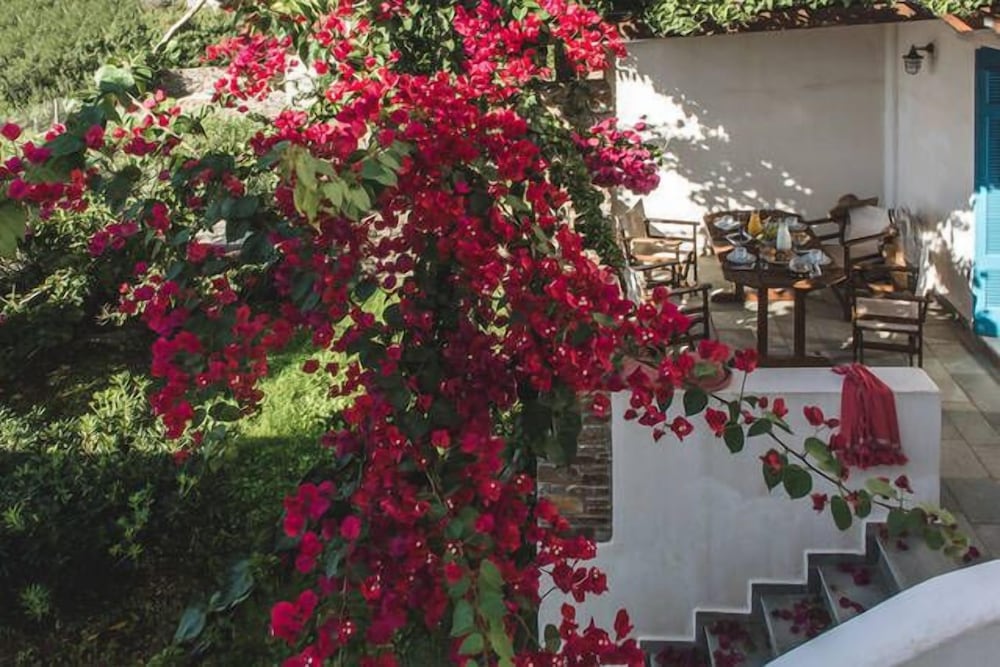 Andros Maisonettes