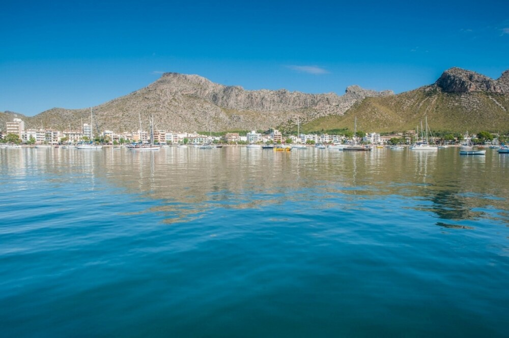 Clivies 1b in Pollen a photo 2