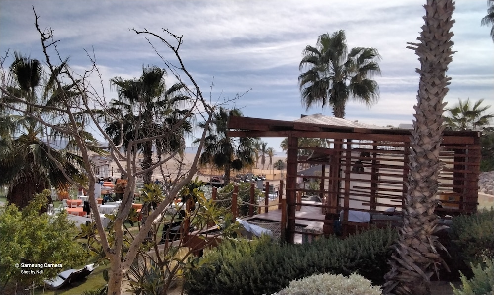 Ocean view beach suite