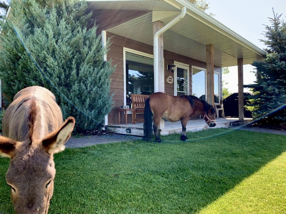 Rocking R Guest Ranch