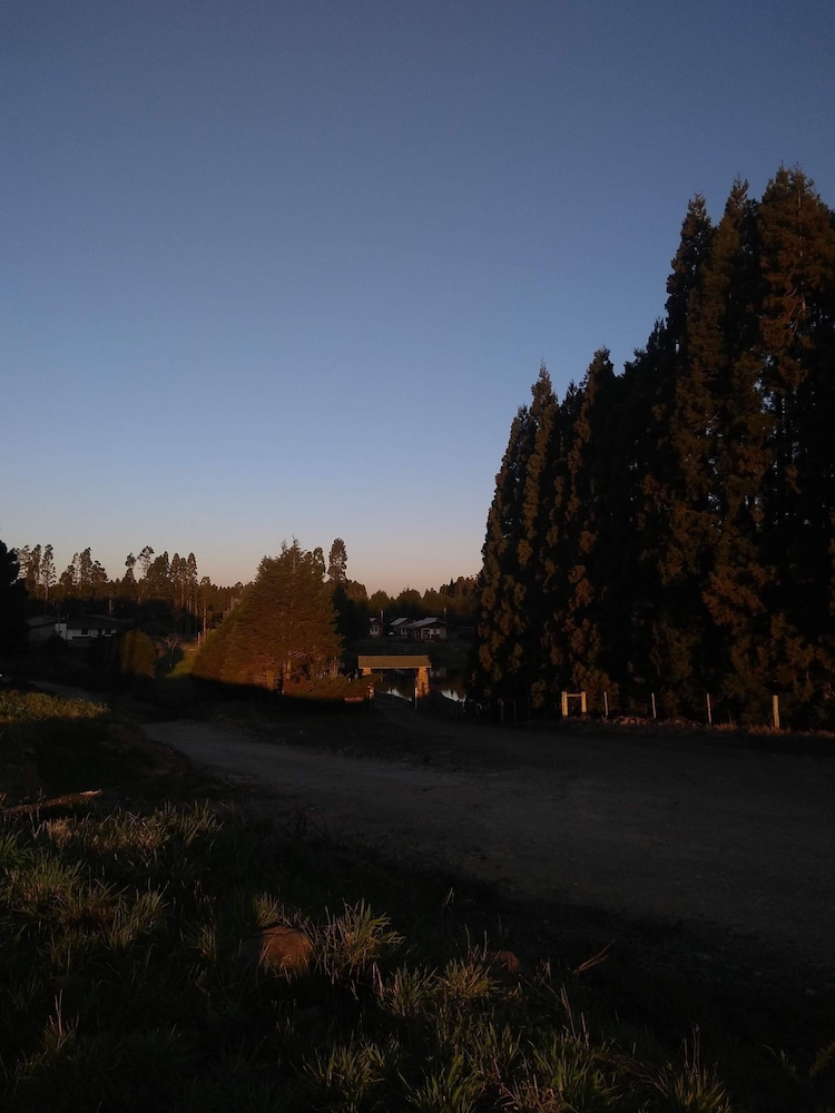 Photo 61