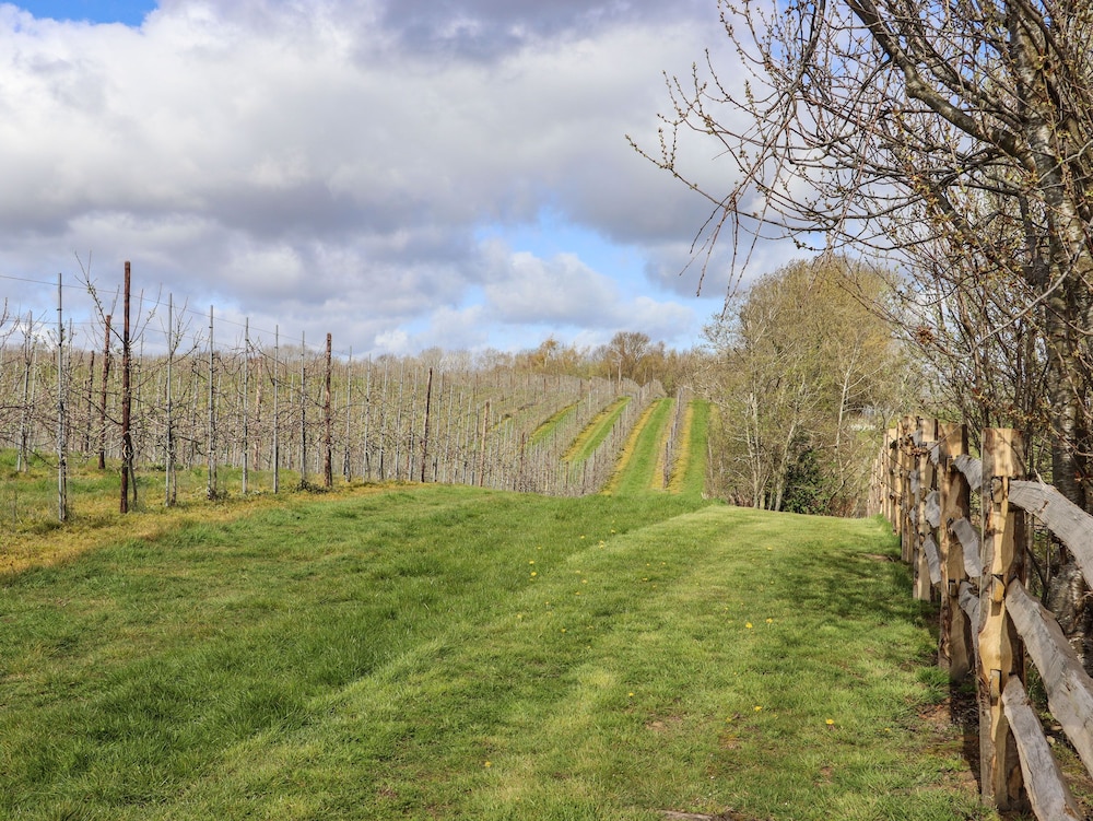 Orchard Retreat