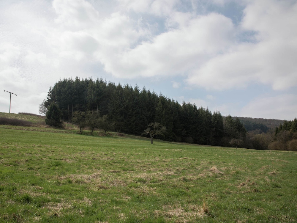 Photo 29