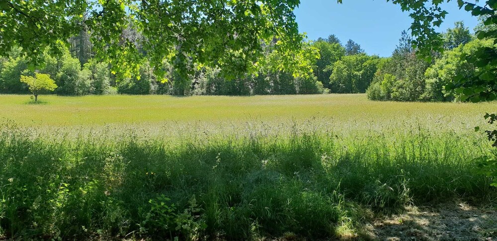 Manoir de fenayrol - Property Image 12