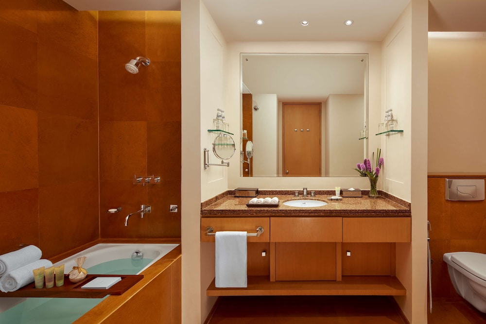Mumbai Vacations - Grand Hyatt Mumbai Hotel and Serviced Apartments - Property Image 60