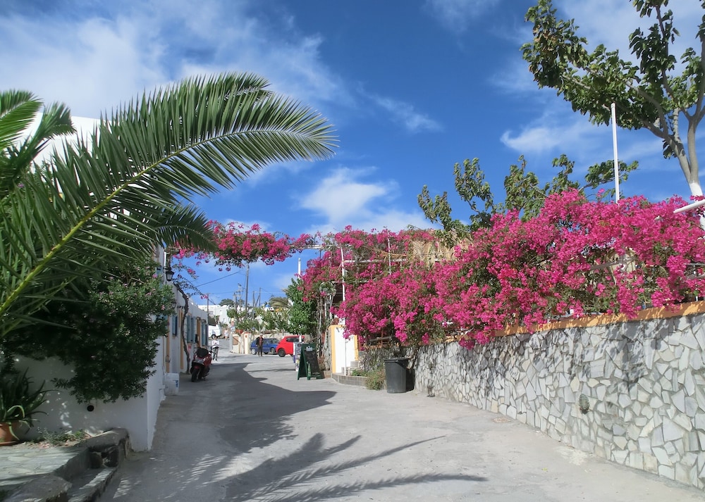 Santorini Camping & Hostel