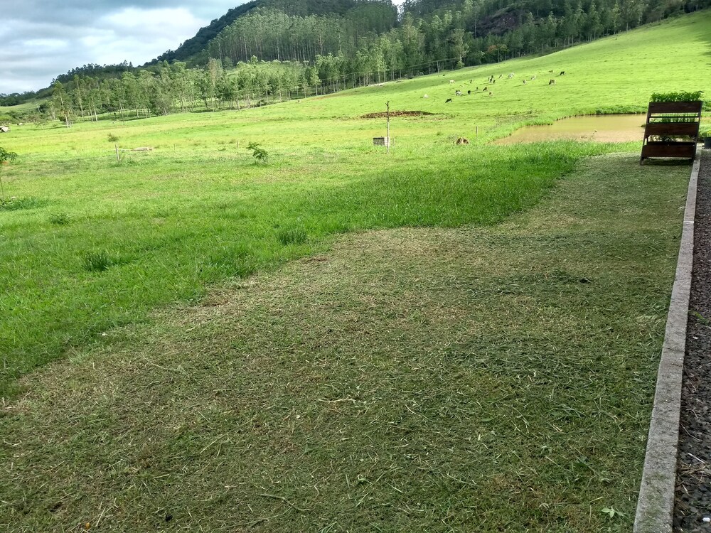Photo 34