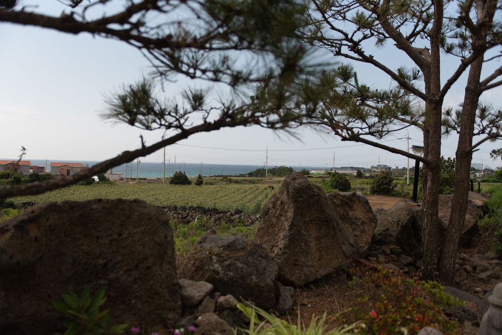 BaDang Garden