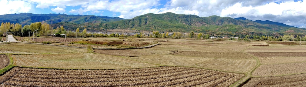 Photo 47