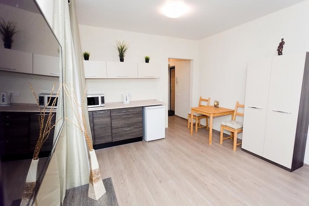 Apartament on Baumana Street
