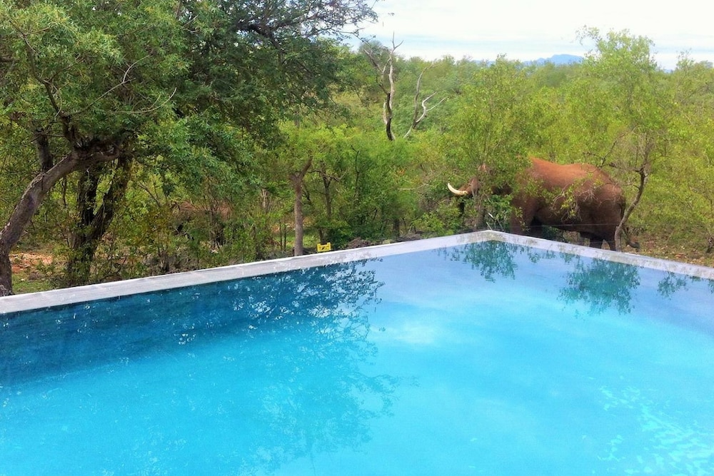 Elephant Game Lodge