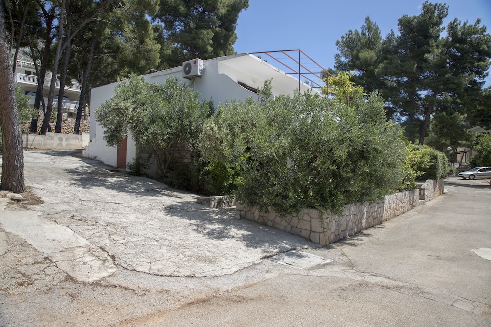 Photo 46