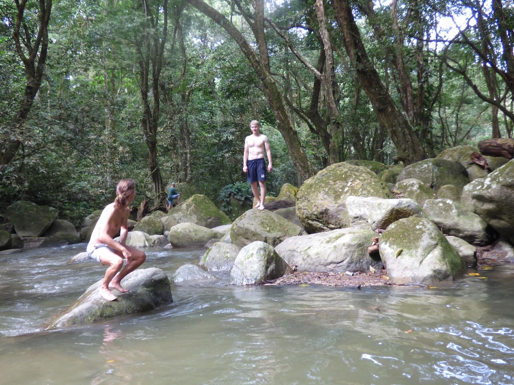 Photo 40