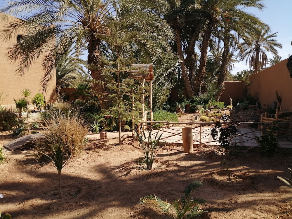 Photo 19