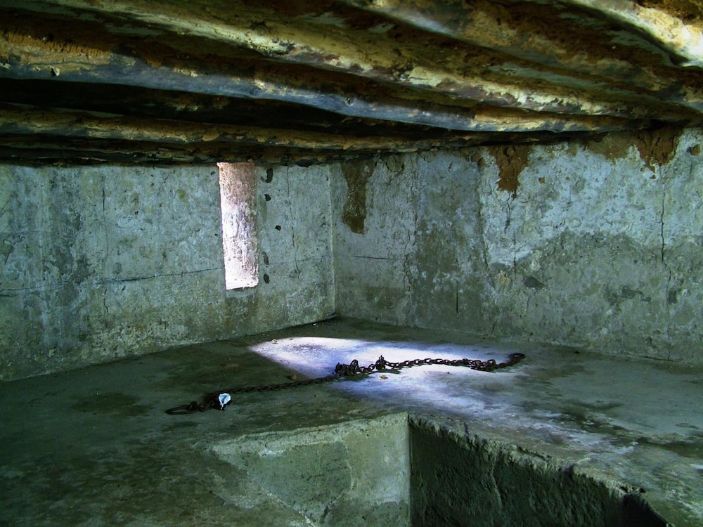 Photo 47
