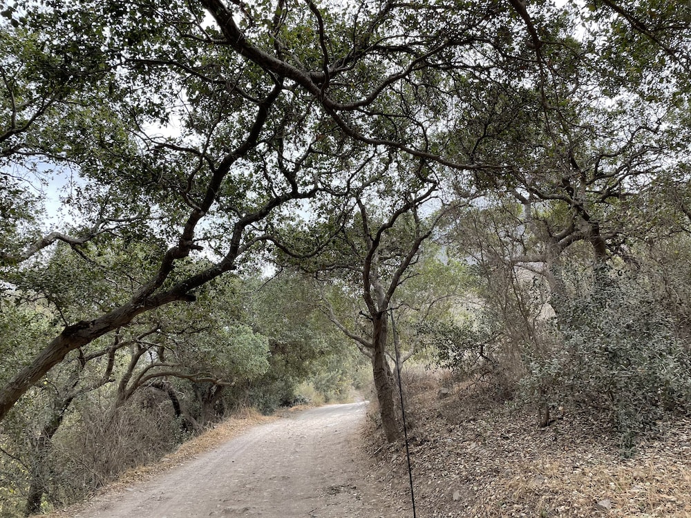 Ensenada Vacations - Rancho San Carlos Aguas Termales - Property Image 132