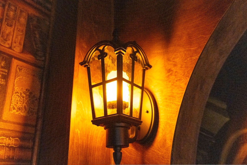 Photo 42