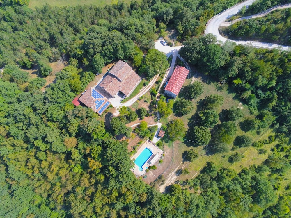 Pet-friendly Retreat view 2