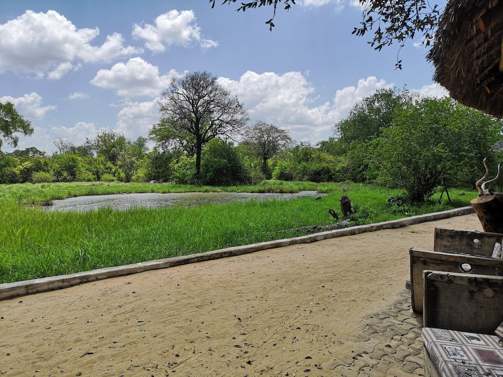 Africa Safari Selous