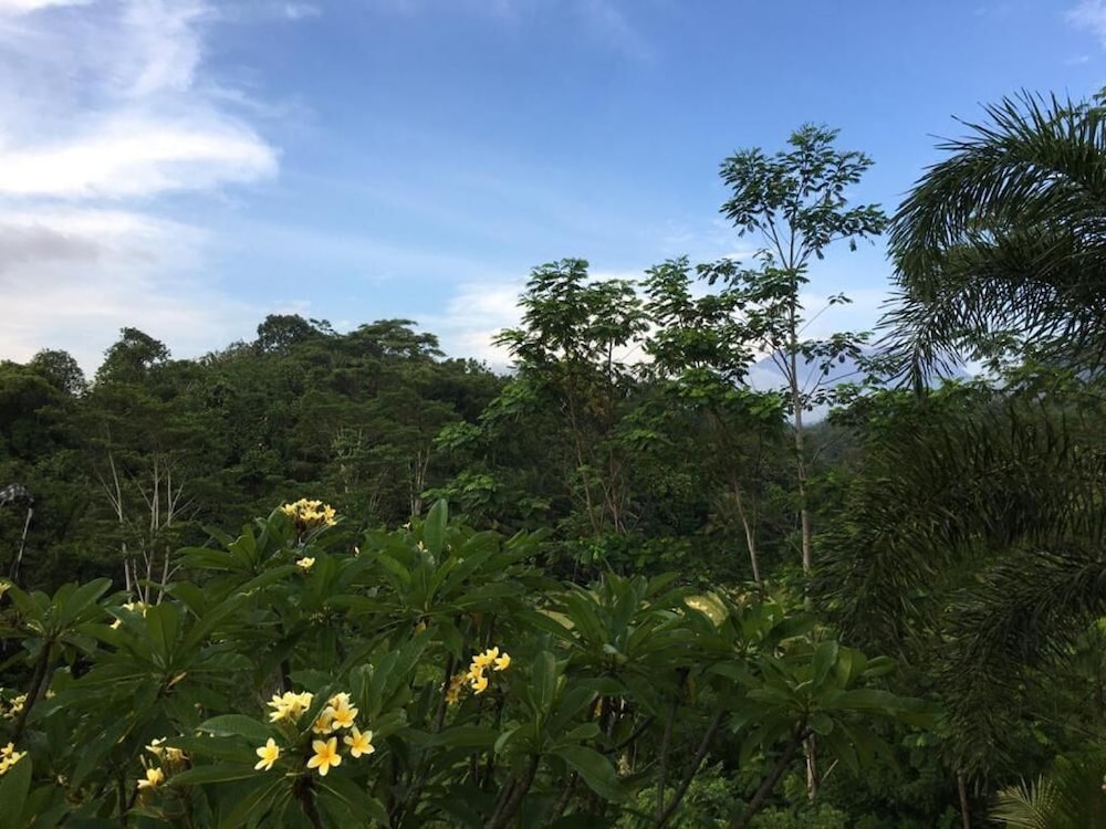Beji Ayu Villas Sidemen