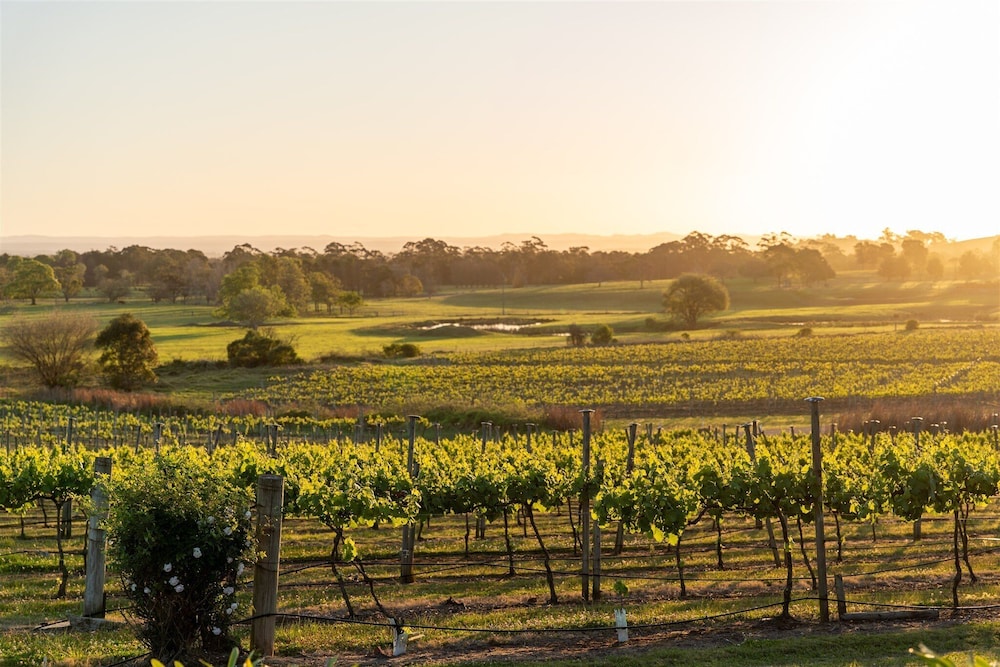Coolangatta Estate