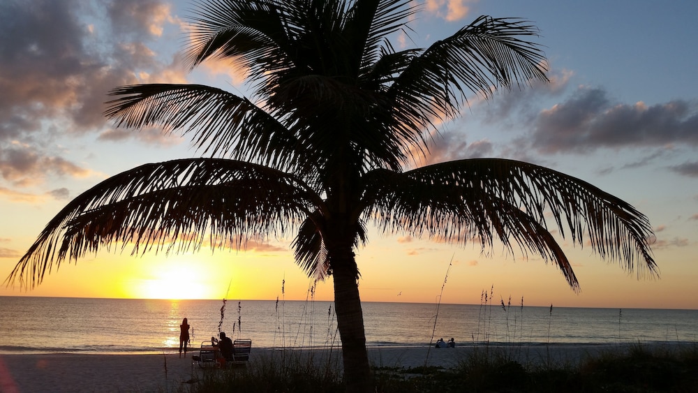 Tropical Breeze Beach Club