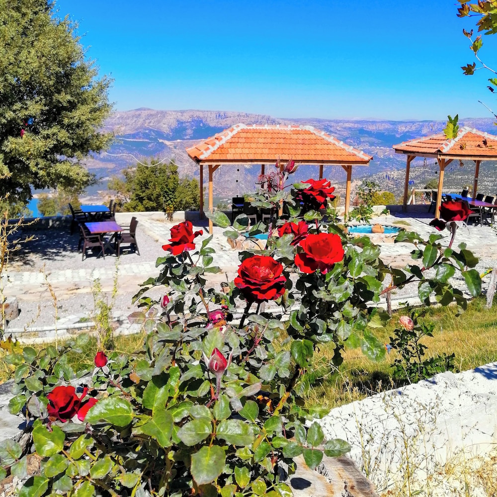 Ayda Tatil Koyu