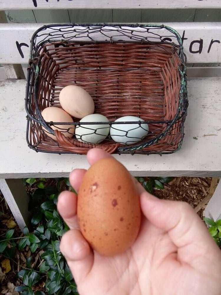 Milwaukee Vacations - Manderley Bed and Breakfast - Property Image 7