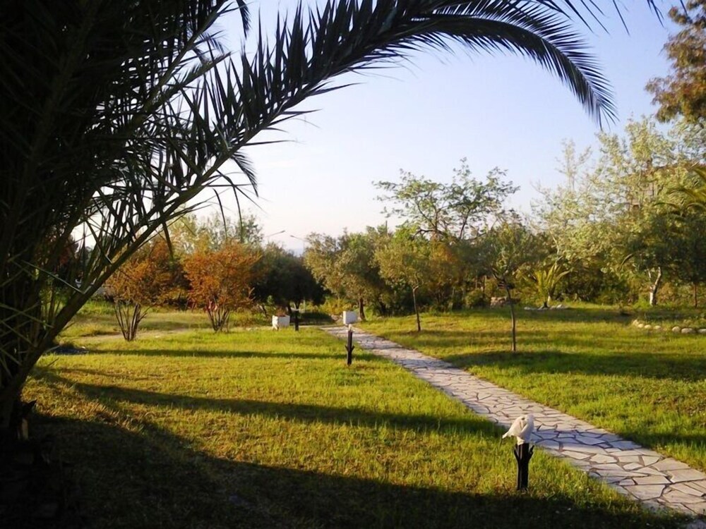 Photo 13
