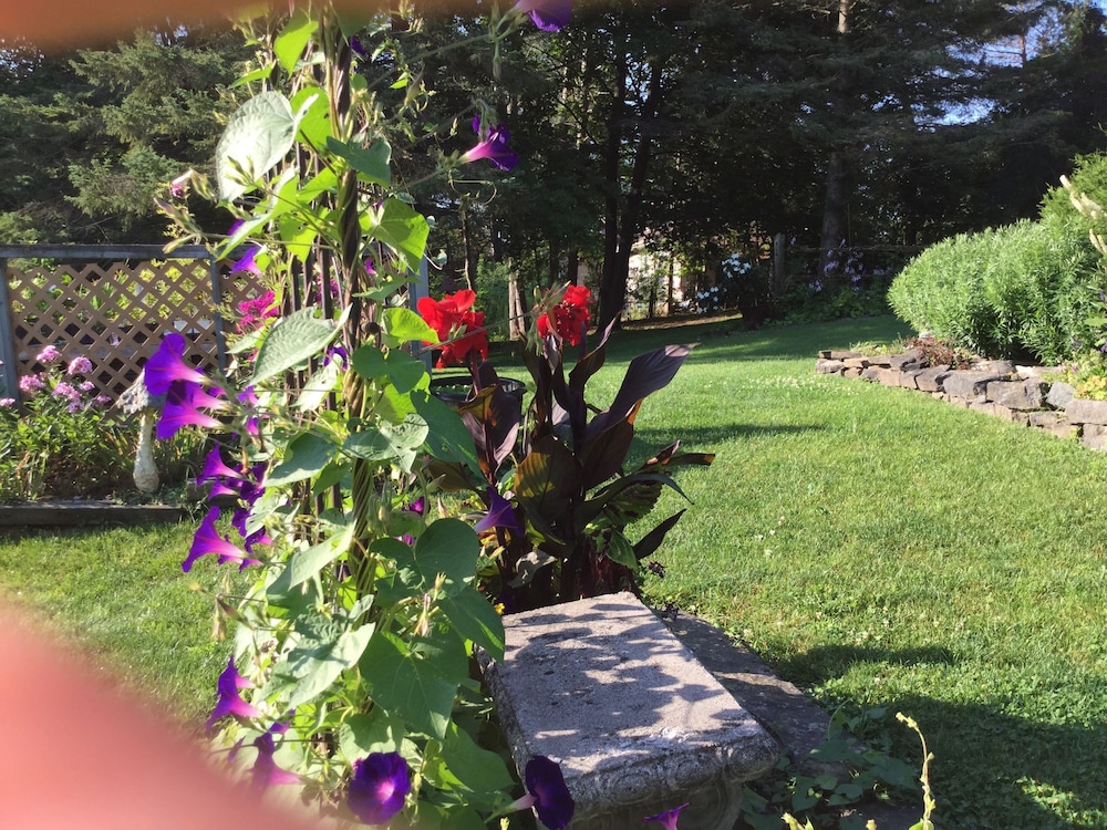 Burleys Gardens and Suite