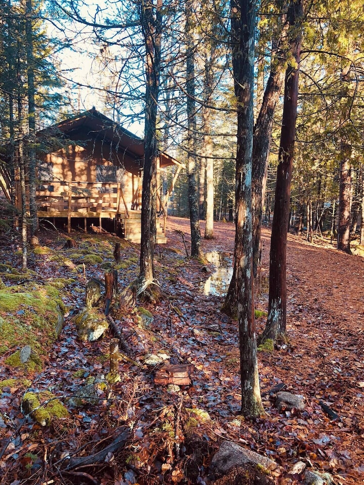 The Woods of Eden Glampground