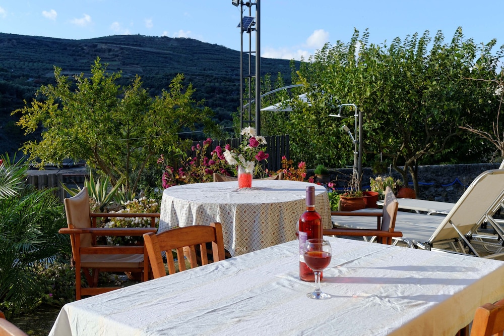 Villa Olive Tree