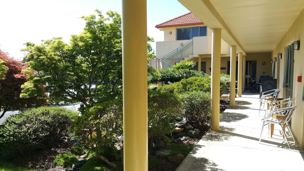 Abelia Motor Lodge view 4