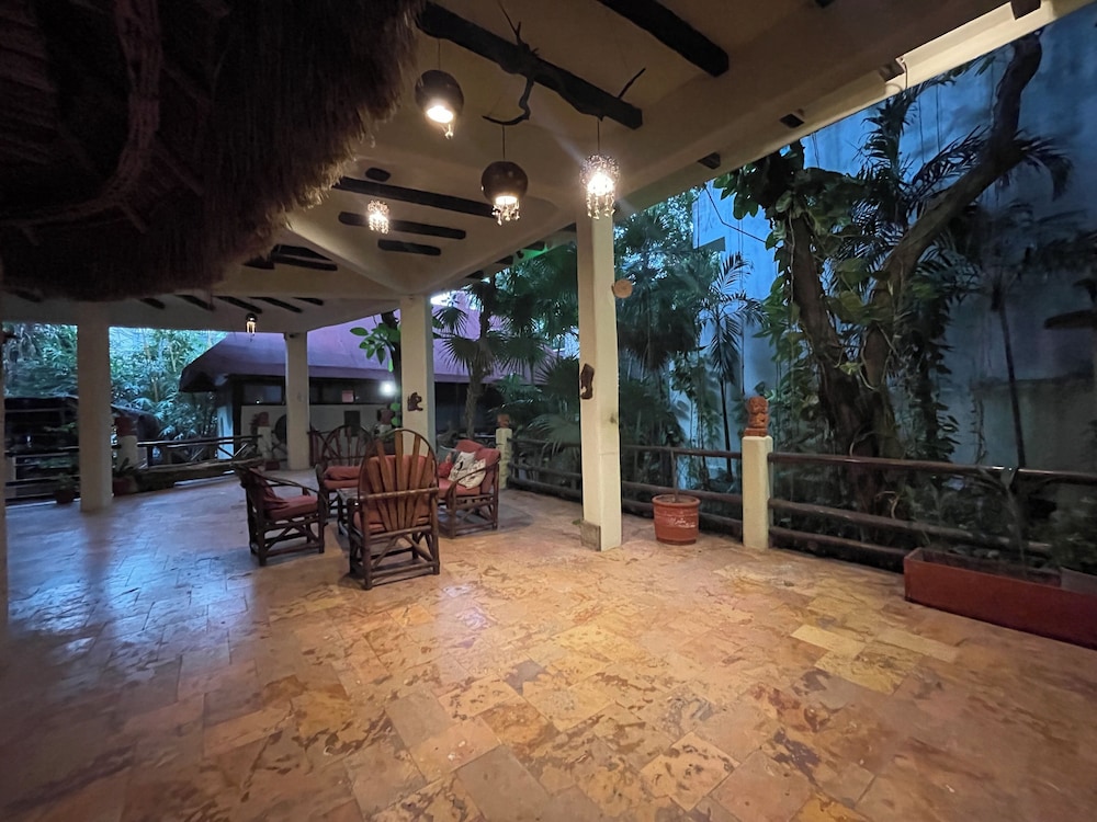 Treehouse Loft in Prime Location
