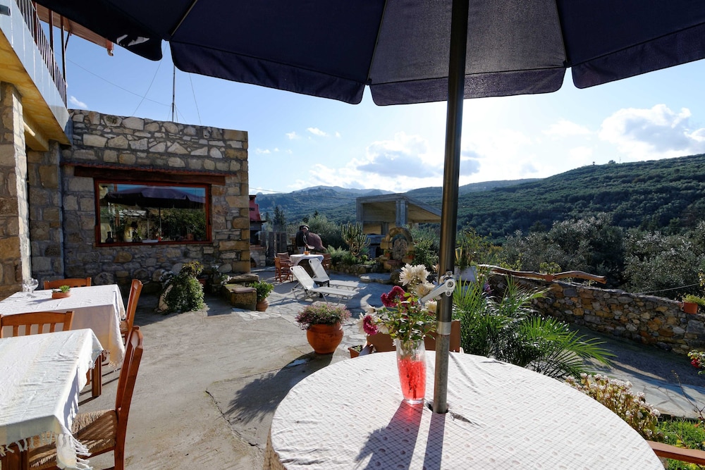 Villa Olive Tree