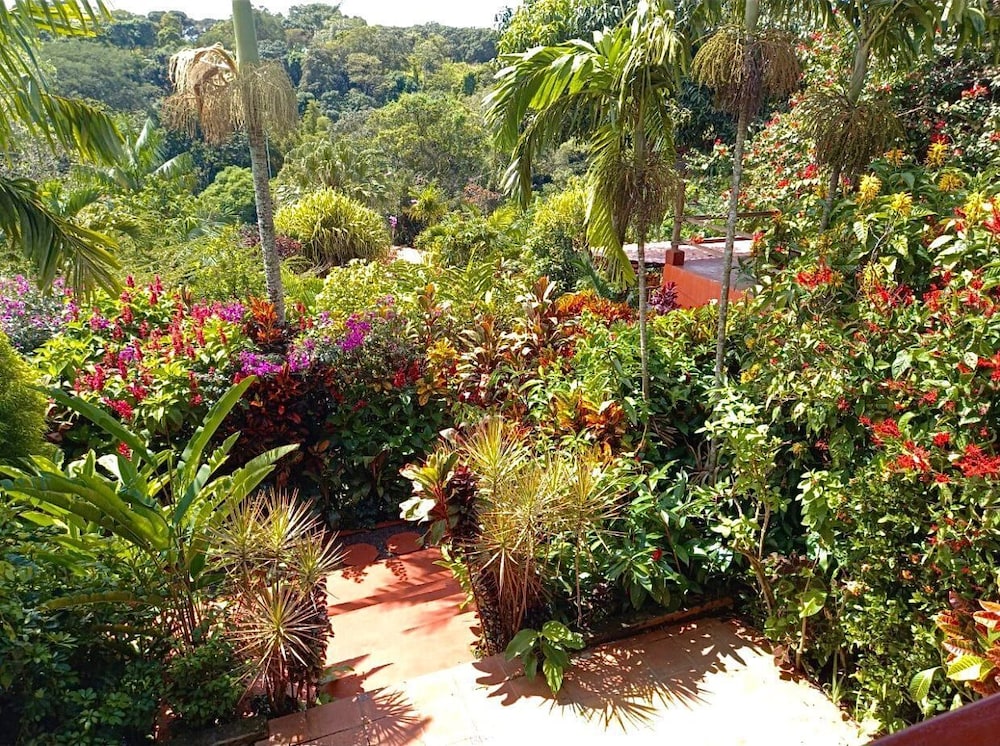 Eden Atenas