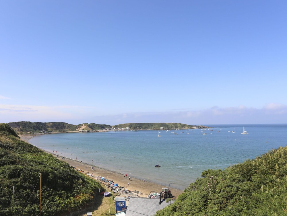 Brigwyn