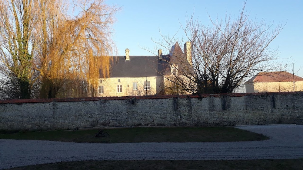 Photo 8