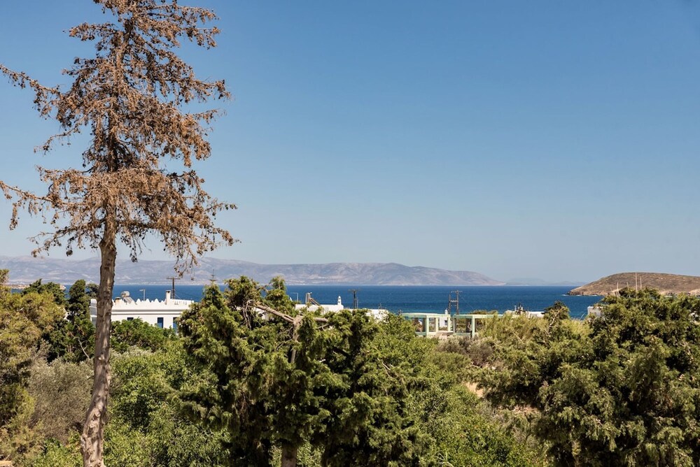 Sun Drop I With Private Pool Drios Beach Paros